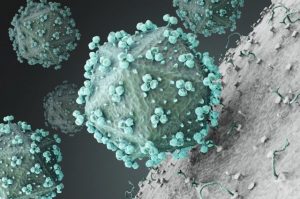 Microscopic view of HIV virus