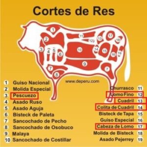 Cortes de res (Cuts of beef)